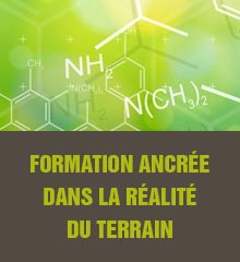 Les formations