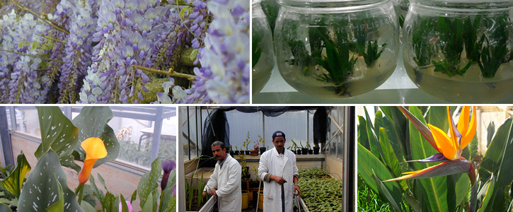 Laboratoire des Sciences Horticoles